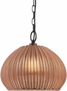 Amazon Outdoor Pendant LIght