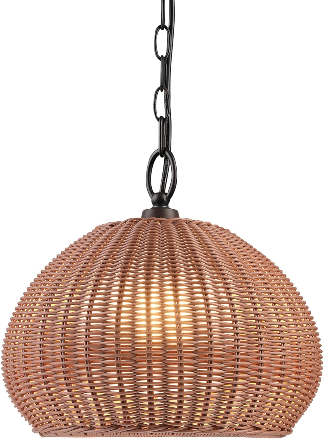 Amazon Outdoor Pendant LIght