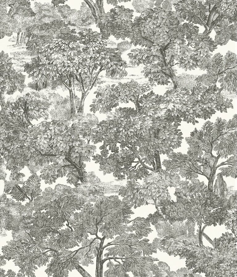 Chesapeake 3115-12542 Spinney Toile Wallpaper, Black