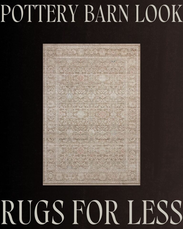 18+ Gorgeous Pottery Barn Rug Dupes on Amazon